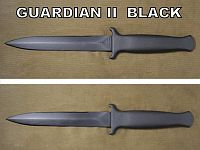 [Guardian IIB]