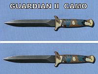 [Guardian IIC]